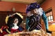 Sinterklaasmarkt.nl - 3/6